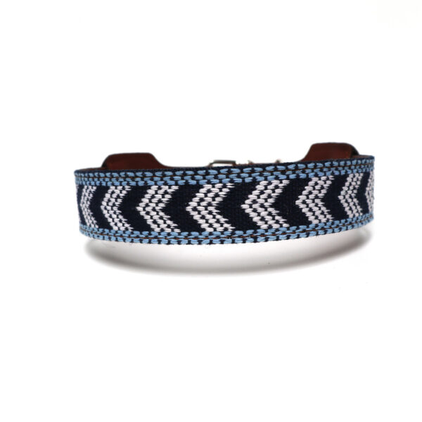 Halsband blauw patroon