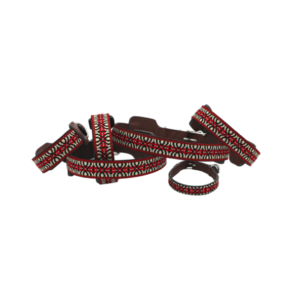 Hondenhalsband met rood patroon